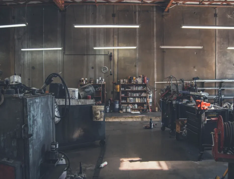 Accumsan Winonisl Misi Scelerisque